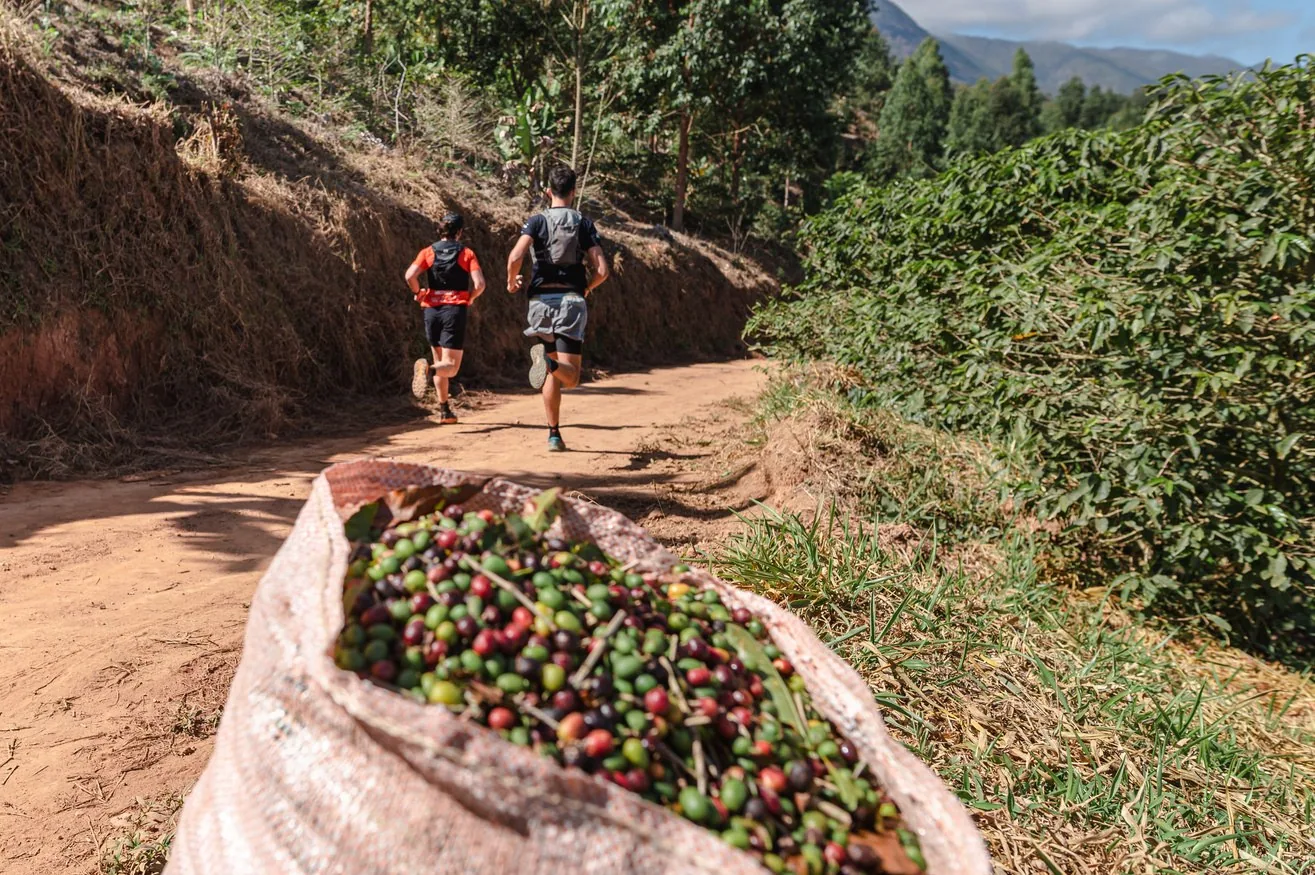 Atletas correndo entre plantações de café no Caparaó